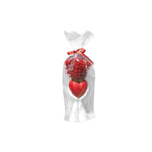 Διακοσμητικη γλαστρα σε παλαμη  με κοκκινα ανθη & κοκκινη καρδια 35x10cm