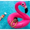 Φουσκωτή Σαμπρέλα Θαλάσσης Flamingo Ροζ 120εκ