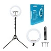 Ring Light 43cm 3200-5800K με Τρίποδο Δαπέδου και Βάση για Κινητό CXB-460 Μαύρο