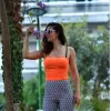 ΓΥΝΑΙΚΕΙΟ ΤΟΠ CROP TOP MOHICANS 4617.ΠΟΡΤΟΚΑΛΙ