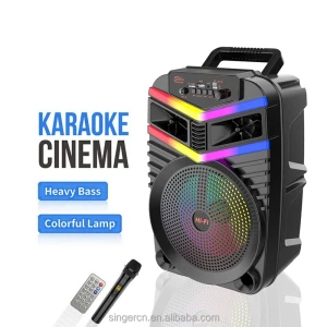 Φορητό Ηχείο Bluetooth Karaoke 8 inch 20W με Μικρόφωνο ZQS8182W