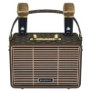 Ηχείο karaoke bluetooth boom bass με 2 μικρόφωνα  M4202+ Καφέ
